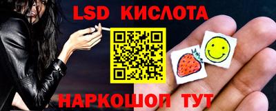 винт Бердск