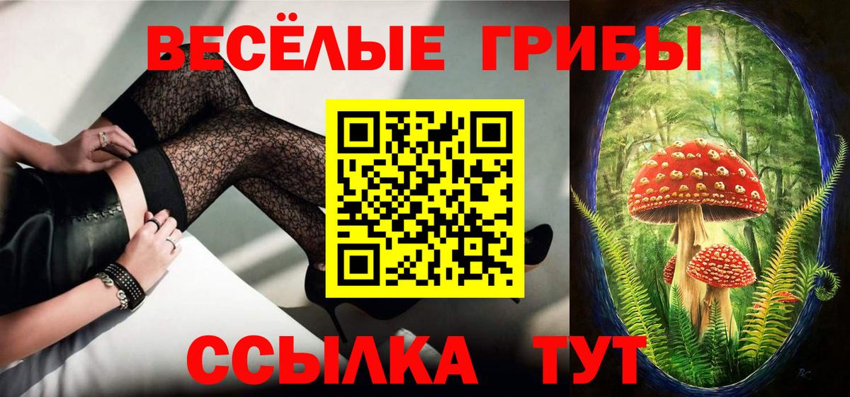 Богородицк  Галлюциногенные грибы Magic Shrooms  Вход с VPN 