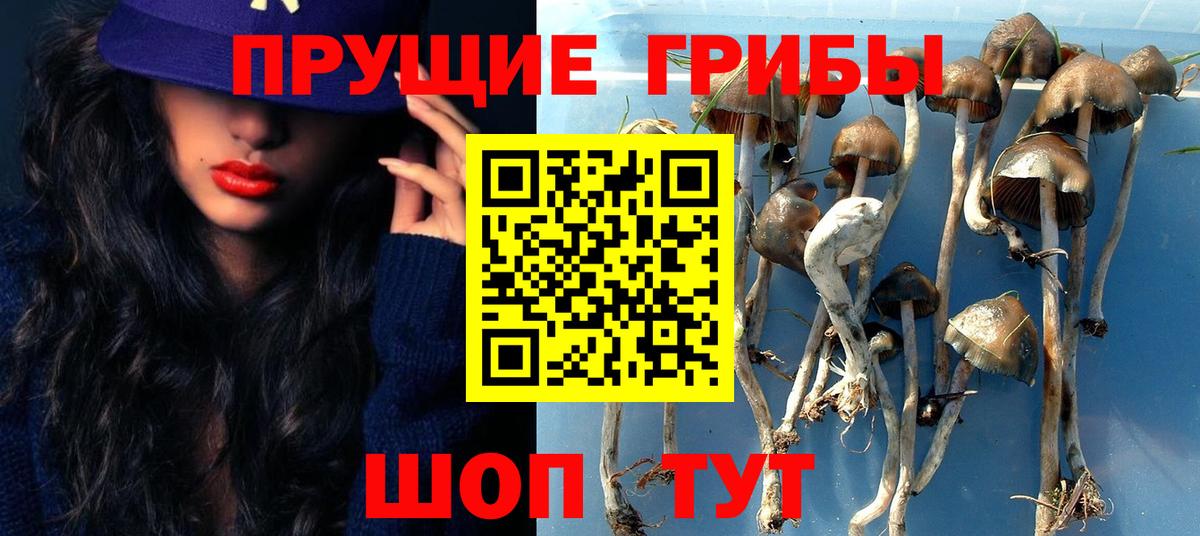 Псилоцибиновые грибы MAGIC MUSHROOMS Богородицк