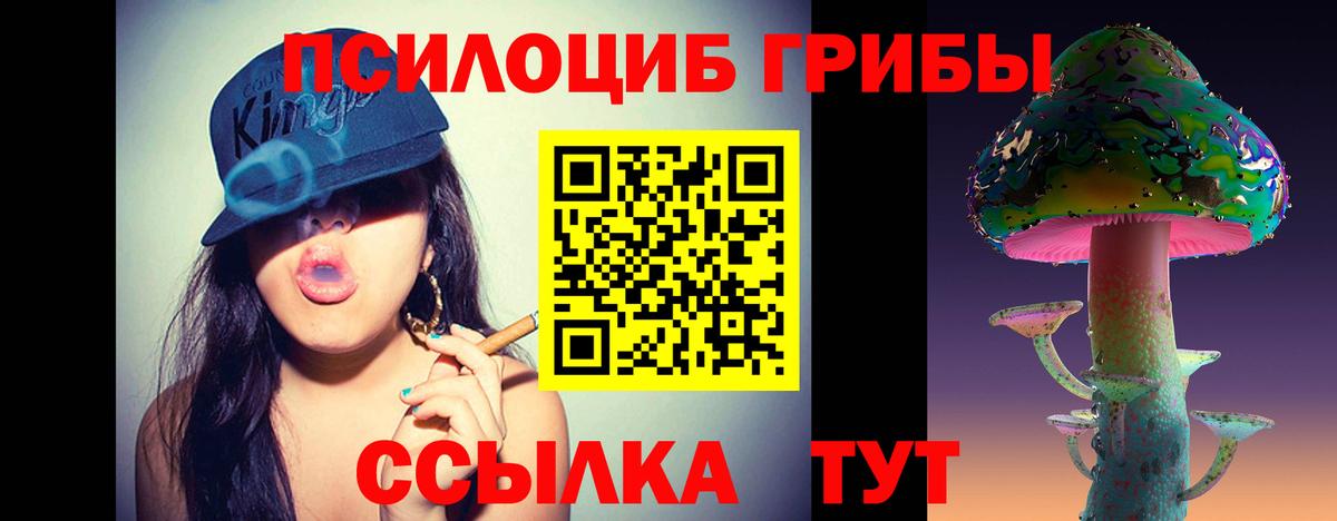 Галлюциногенные грибы Psilocybe Богородицк