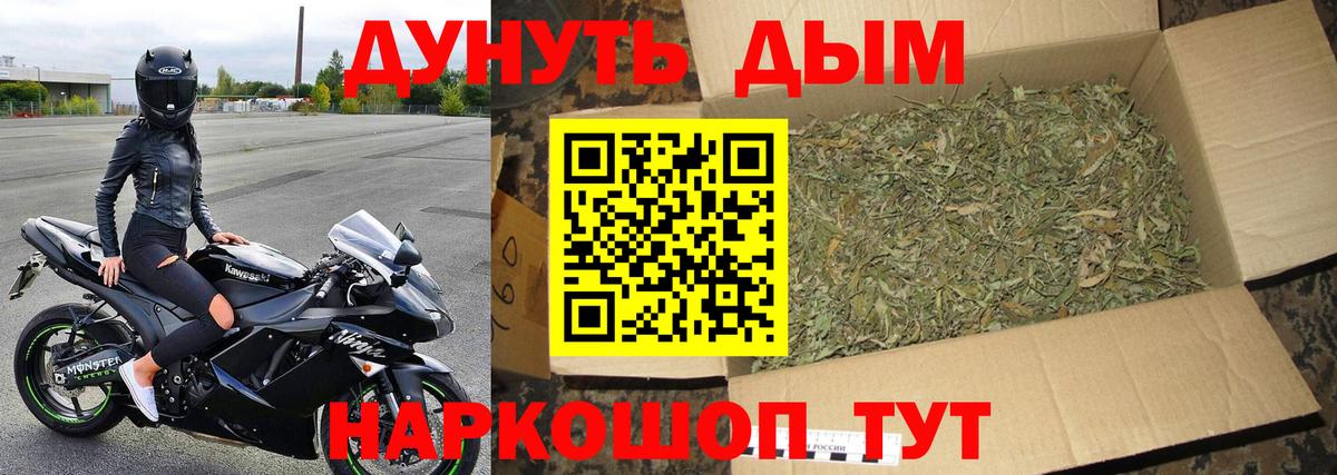 Бошки Шишки гибрид Богородицк
